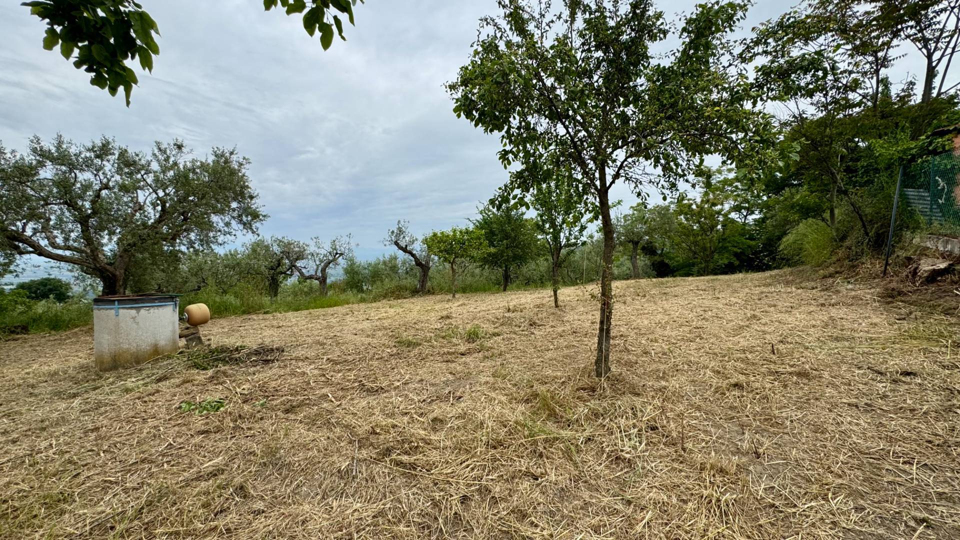 Casa Indipendente in vendita a Apice