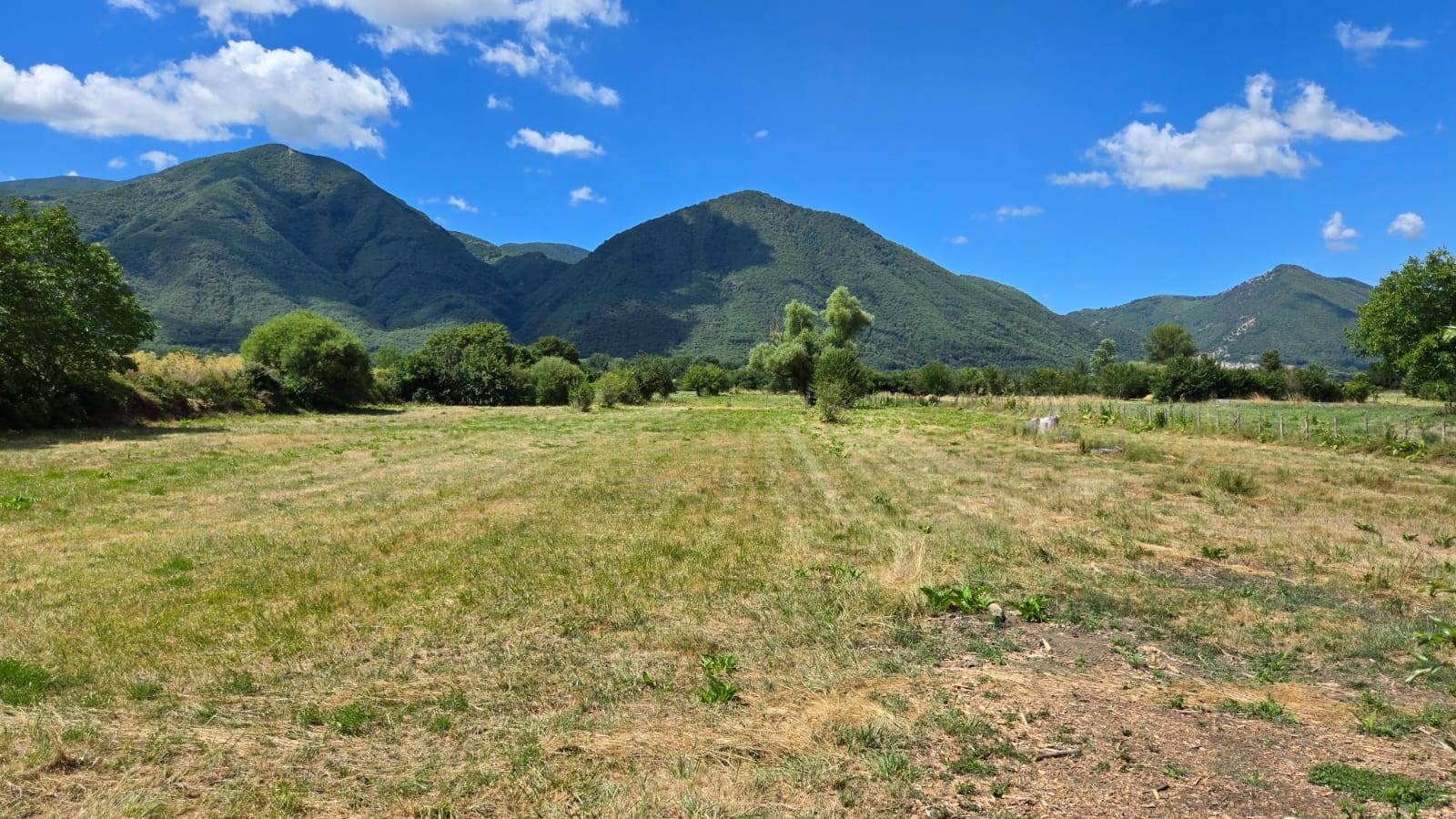 Terreno Agricolo in vendita a Volturara Irpina