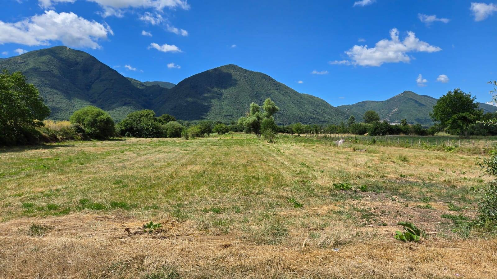 Terreno Agricolo in vendita a Volturara Irpina