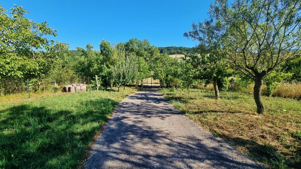 Villa in vendita a Vallesaccarda