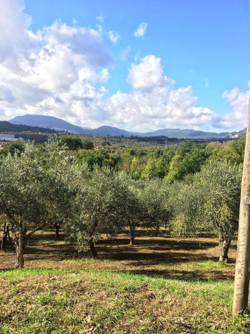 Terreno Agricolo in vendita a Montefredane