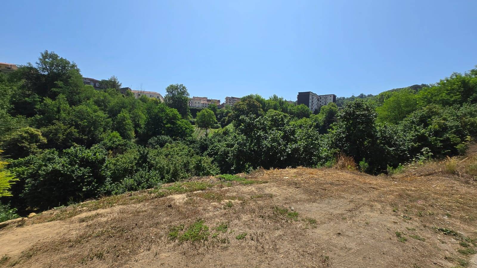 Terreno Agricolo in vendita a Altavilla Irpina