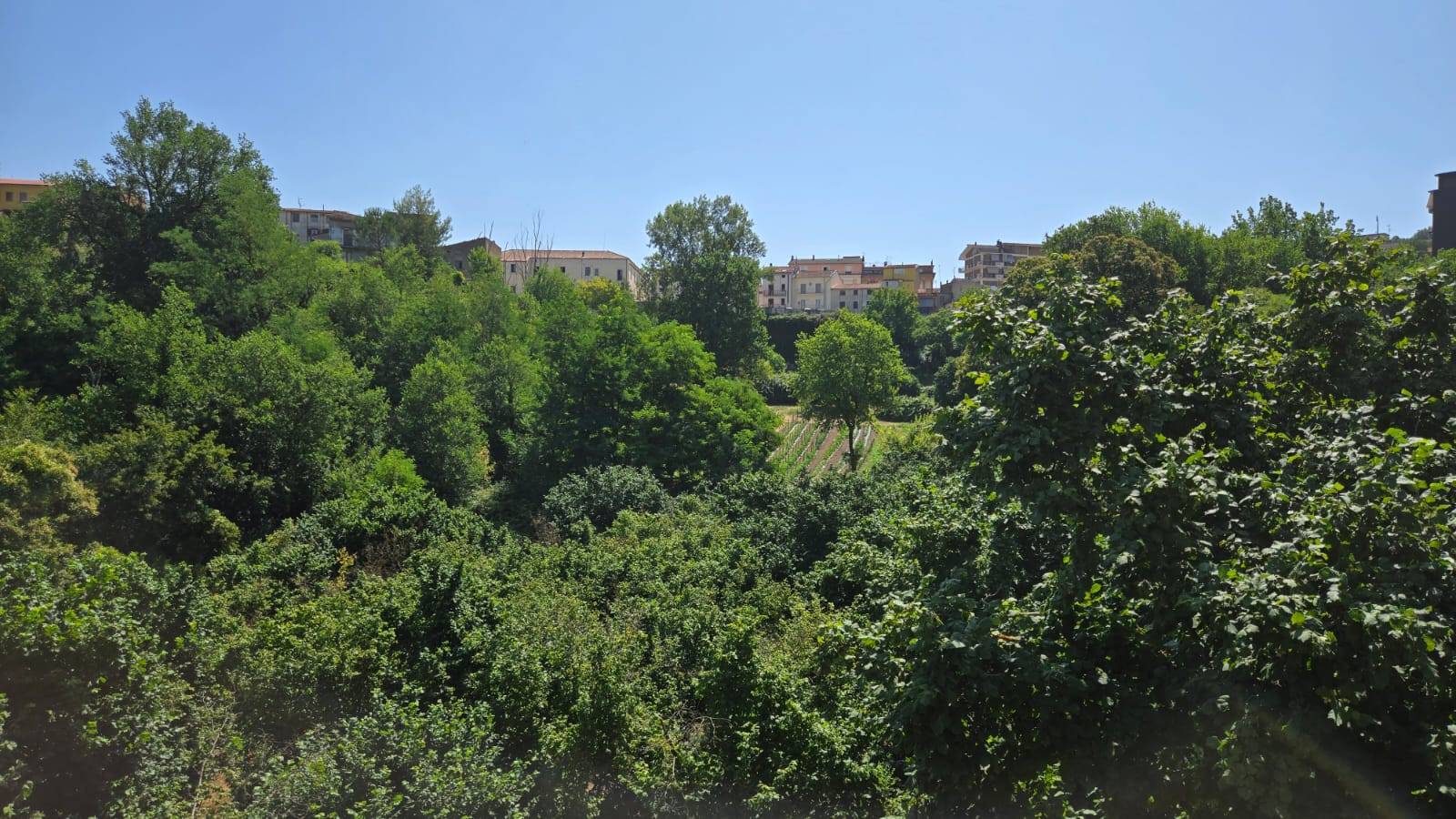 Terreno Agricolo in vendita a Altavilla Irpina