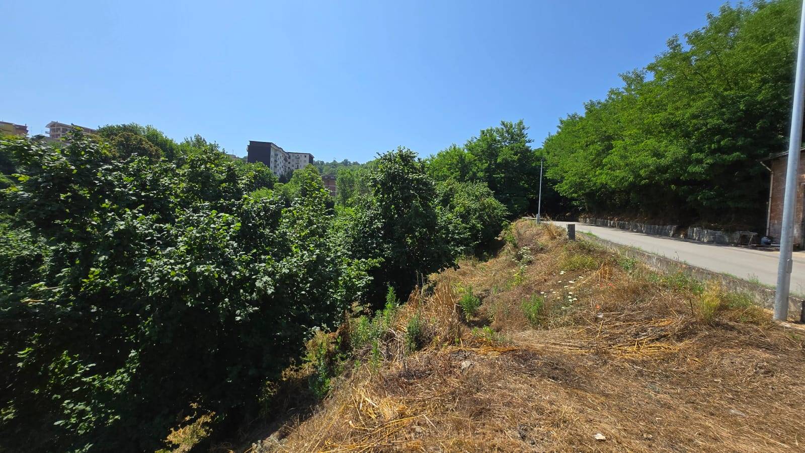 Terreno Agricolo in vendita a Altavilla Irpina
