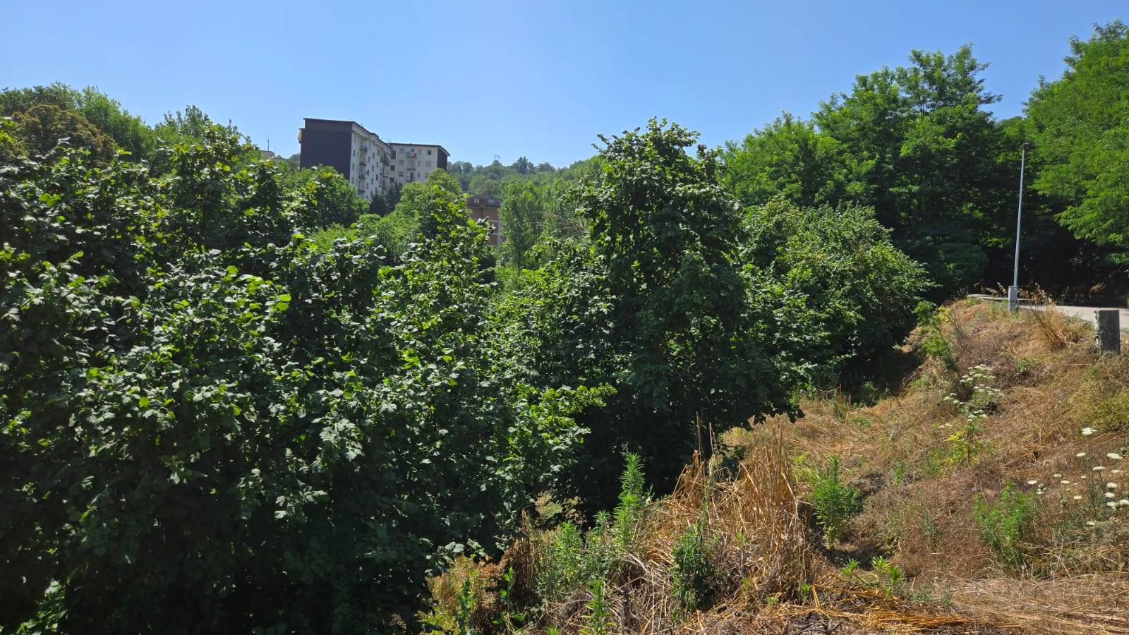 Terreno Agricolo in vendita a Altavilla Irpina