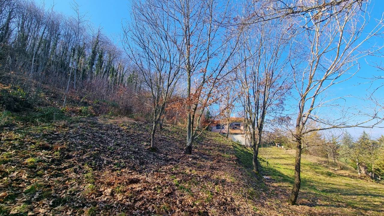 Casa Indipendente in vendita a Guardia Lombardi