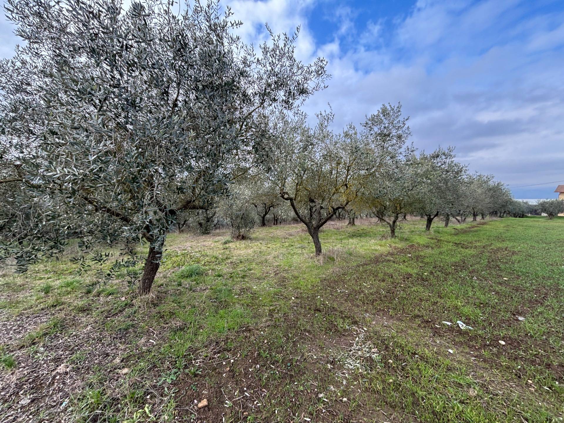 Terreno industriale artgianale in vendita a Benevento