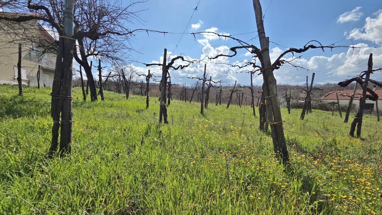 Casa Indipendente in vendita a Torella dei Lombardi