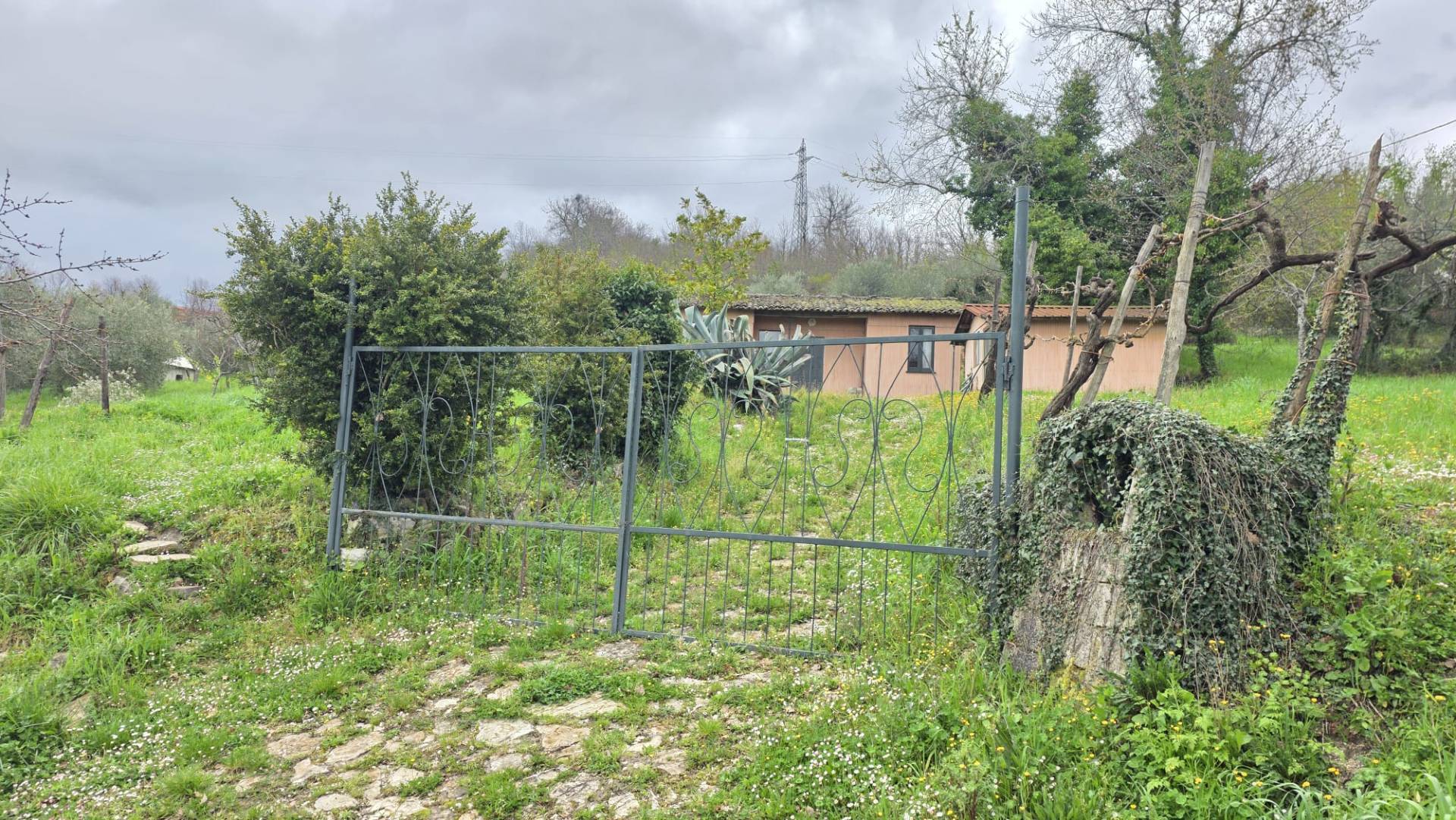 Terreno Agricolo in vendita a Castelfranci