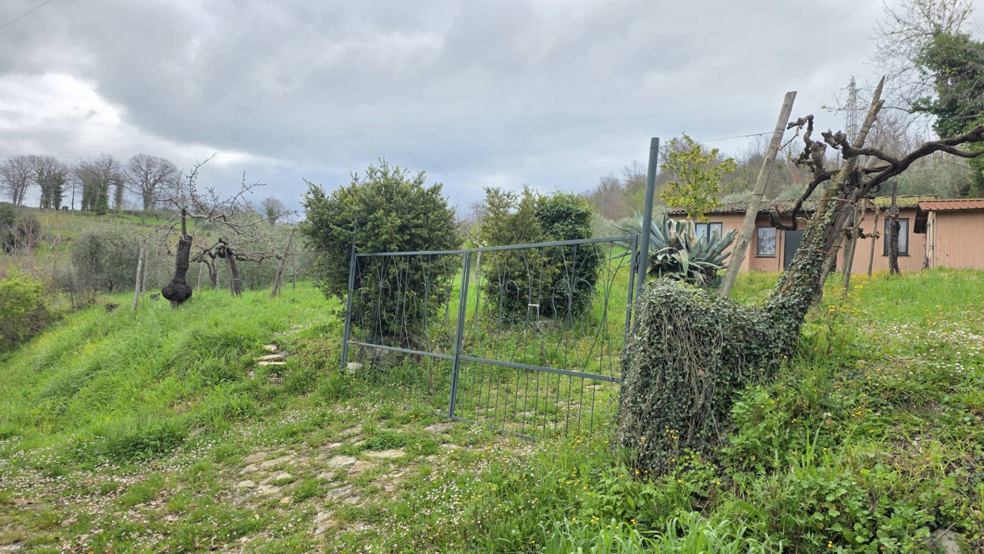 Terreno Agricolo in vendita a Castelfranci