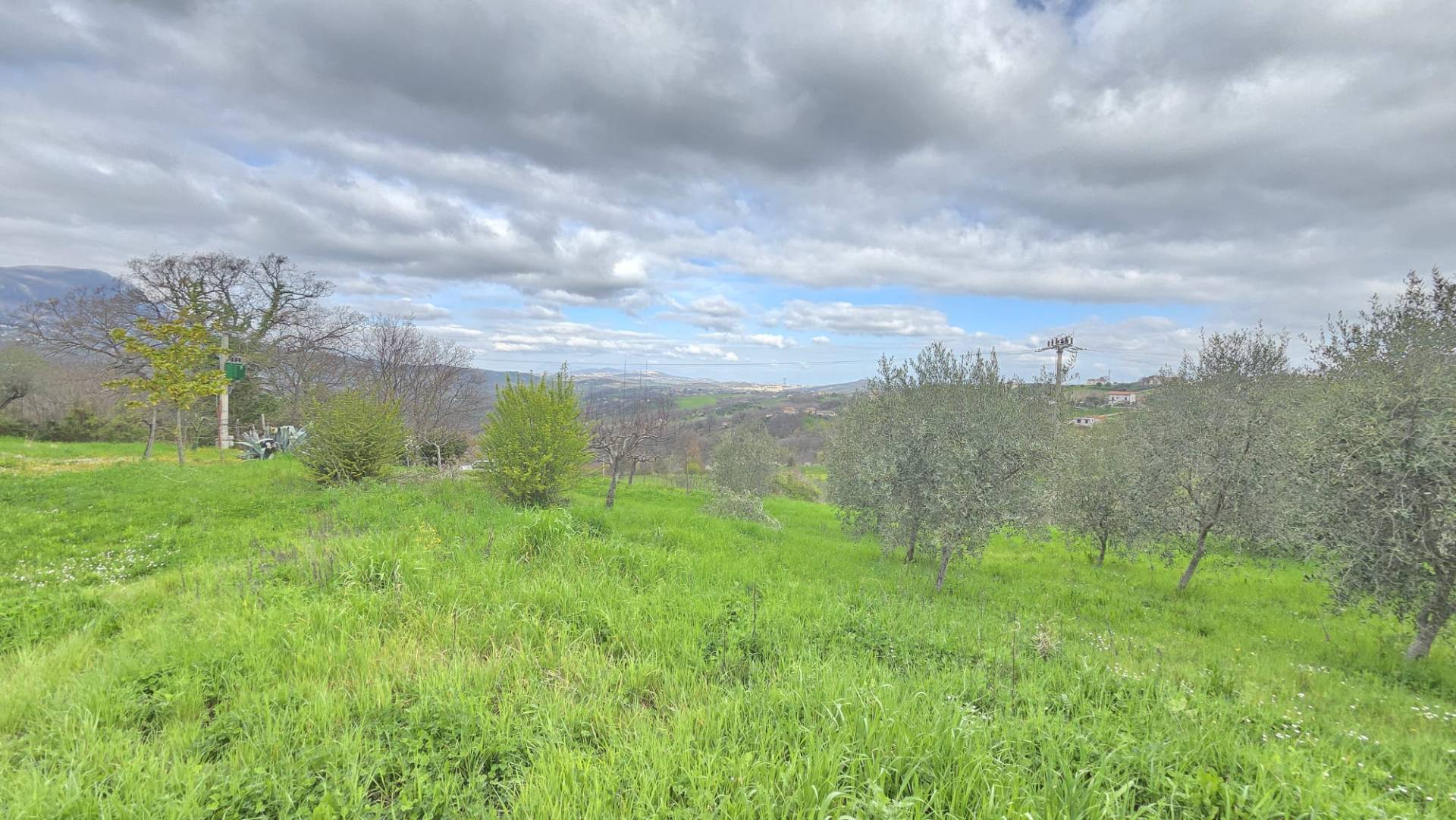Terreno Agricolo in vendita a Castelfranci
