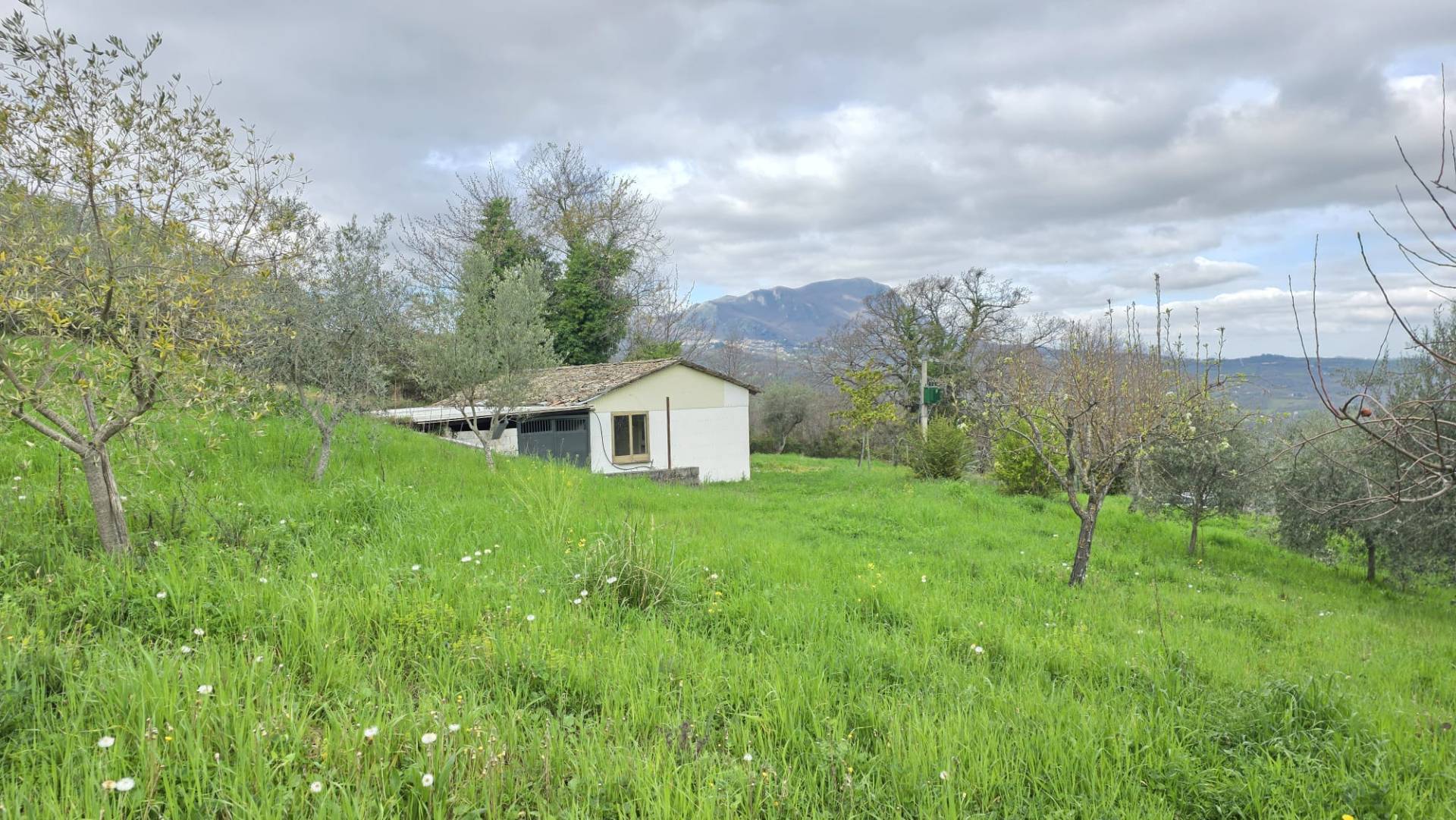 Terreno Agricolo in vendita a Castelfranci