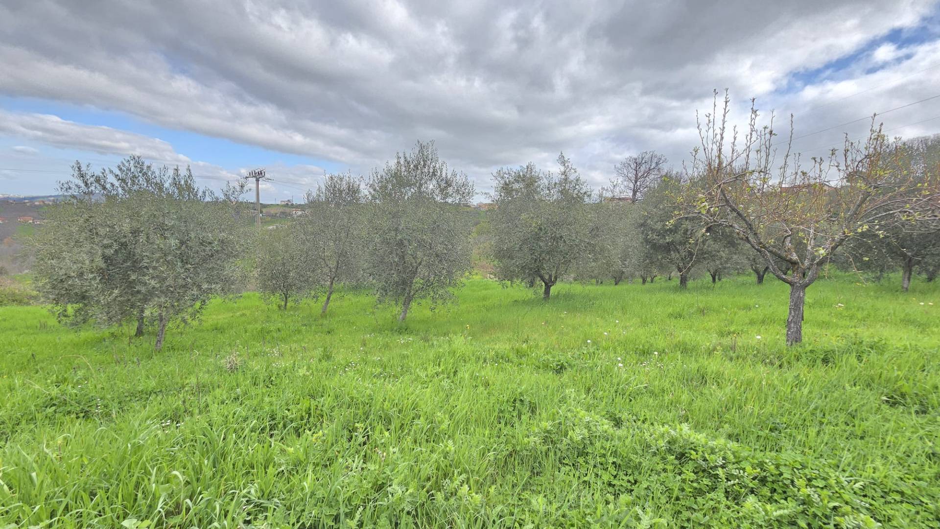 Terreno Agricolo in vendita a Castelfranci