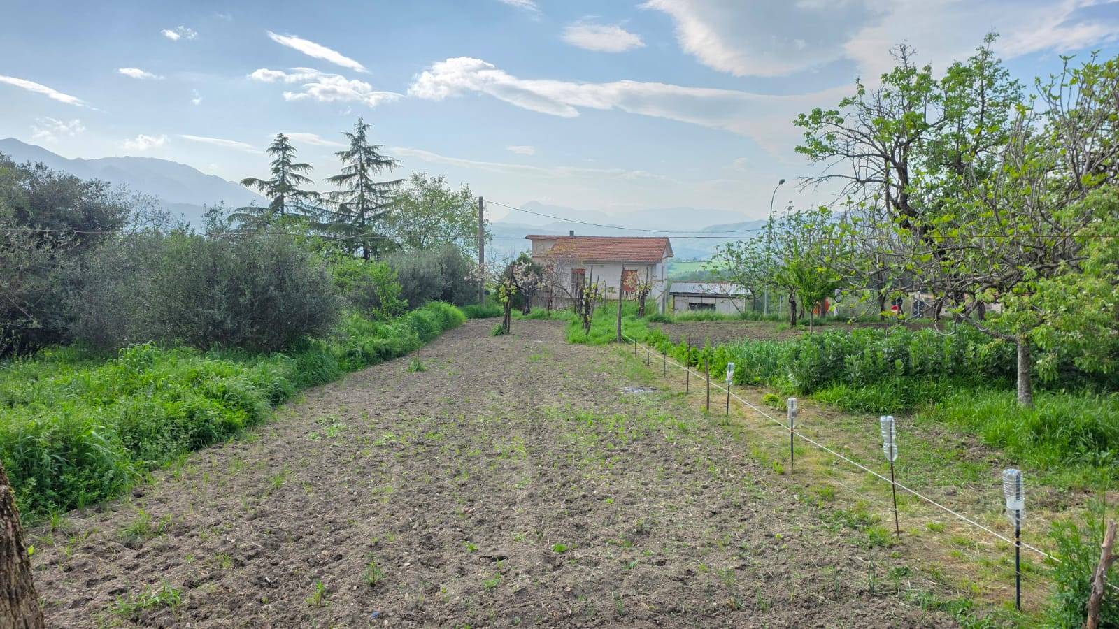 Villetta a schiera in vendita a Montefalcione