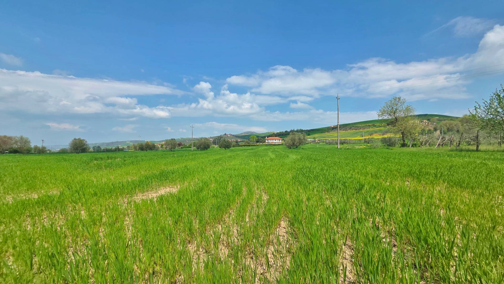 Terreno Agricolo in vendita a Castel Baronia