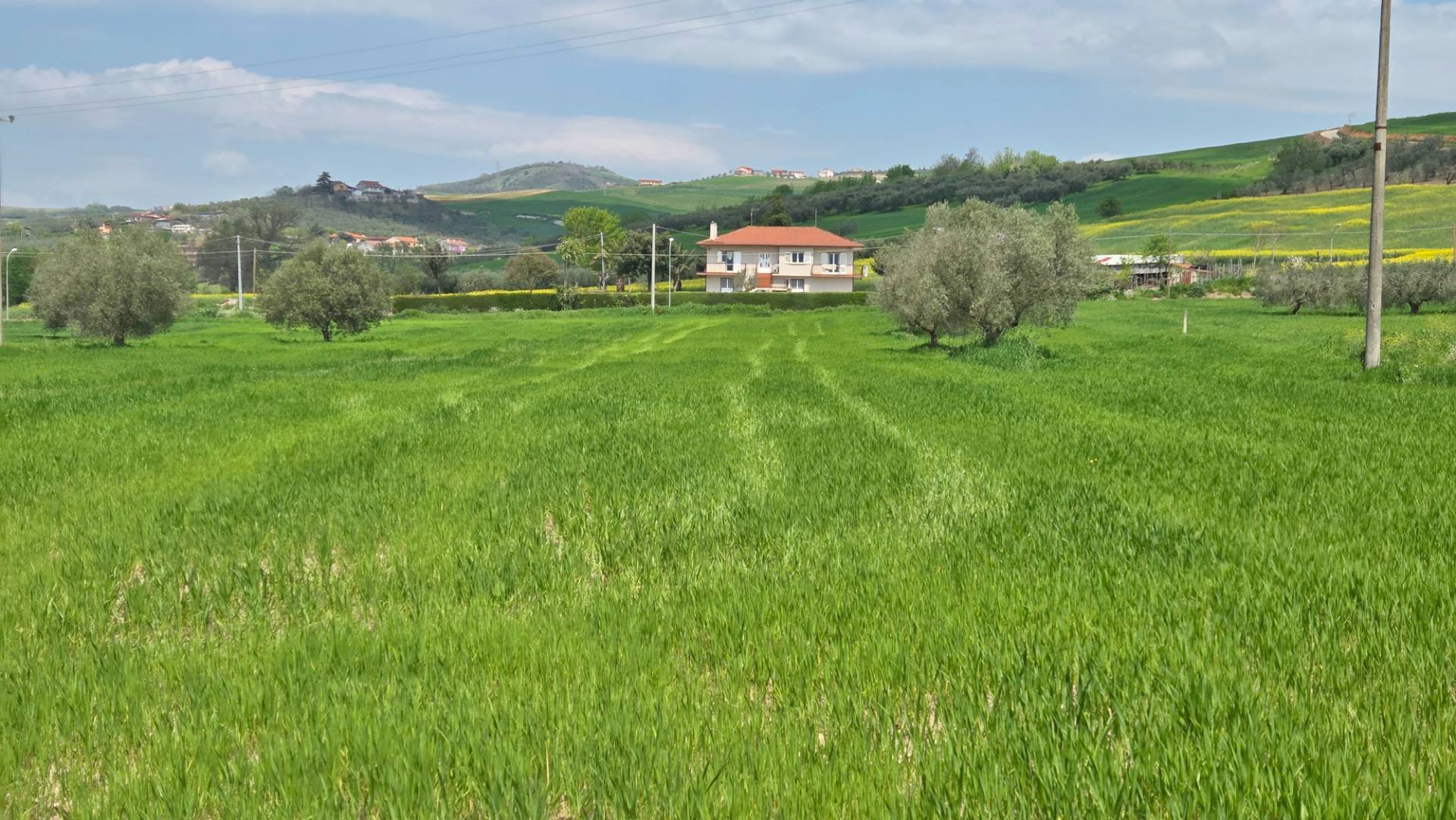 Terreno Agricolo in vendita a Castel Baronia