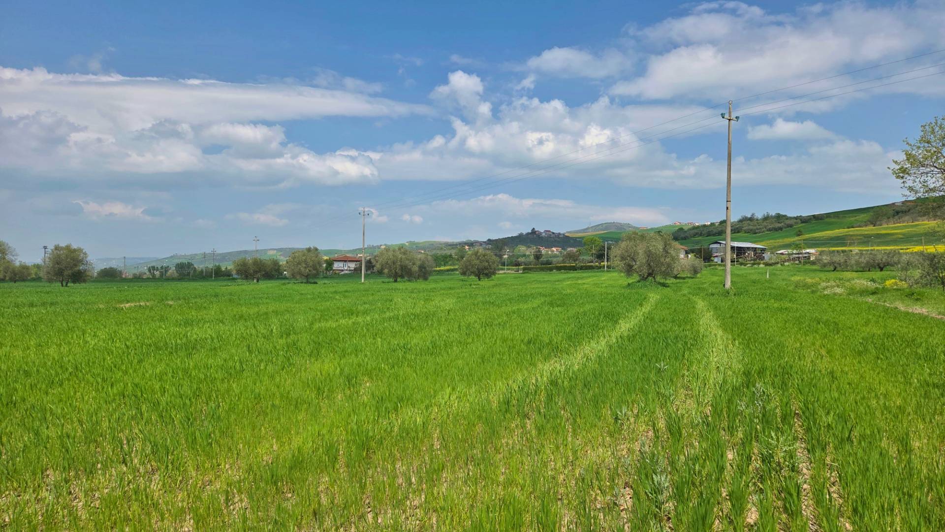 Terreno Agricolo in vendita a Castel Baronia