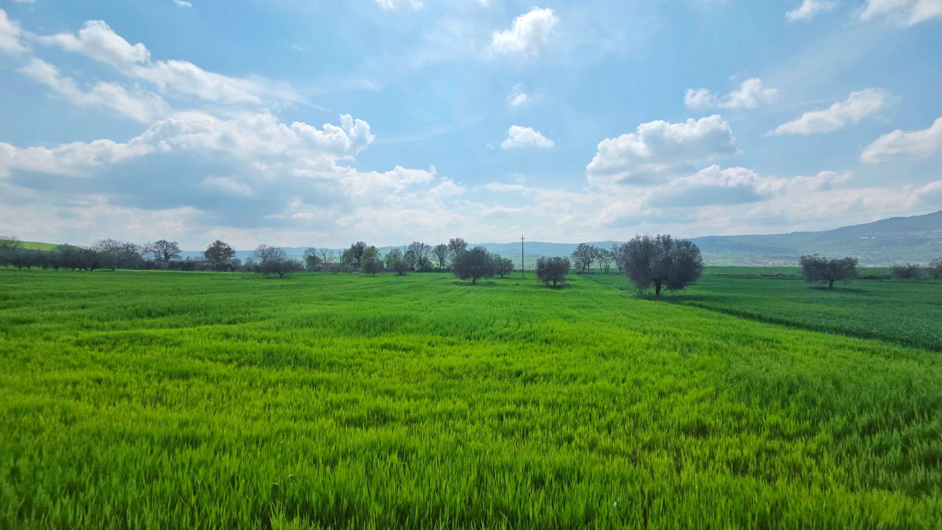 Terreno Agricolo in vendita a Castel Baronia