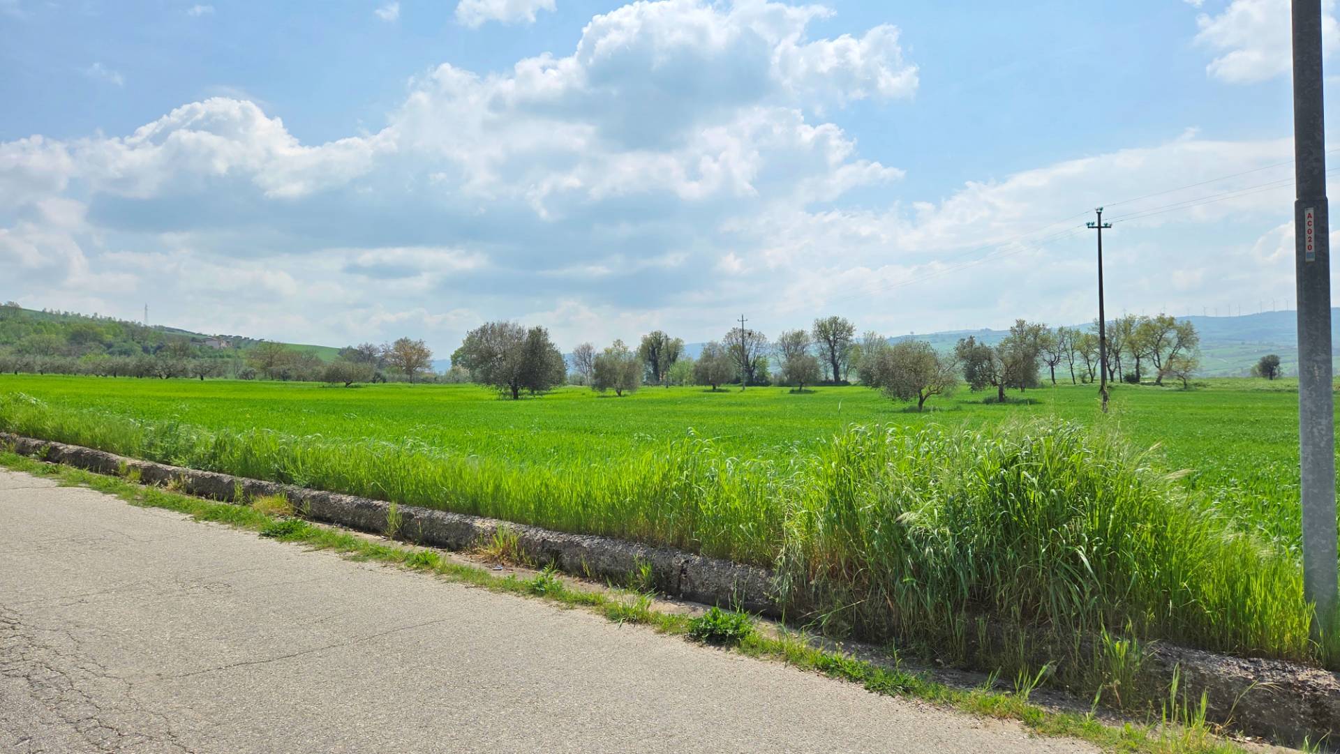 Terreno Agricolo in vendita a Castel Baronia