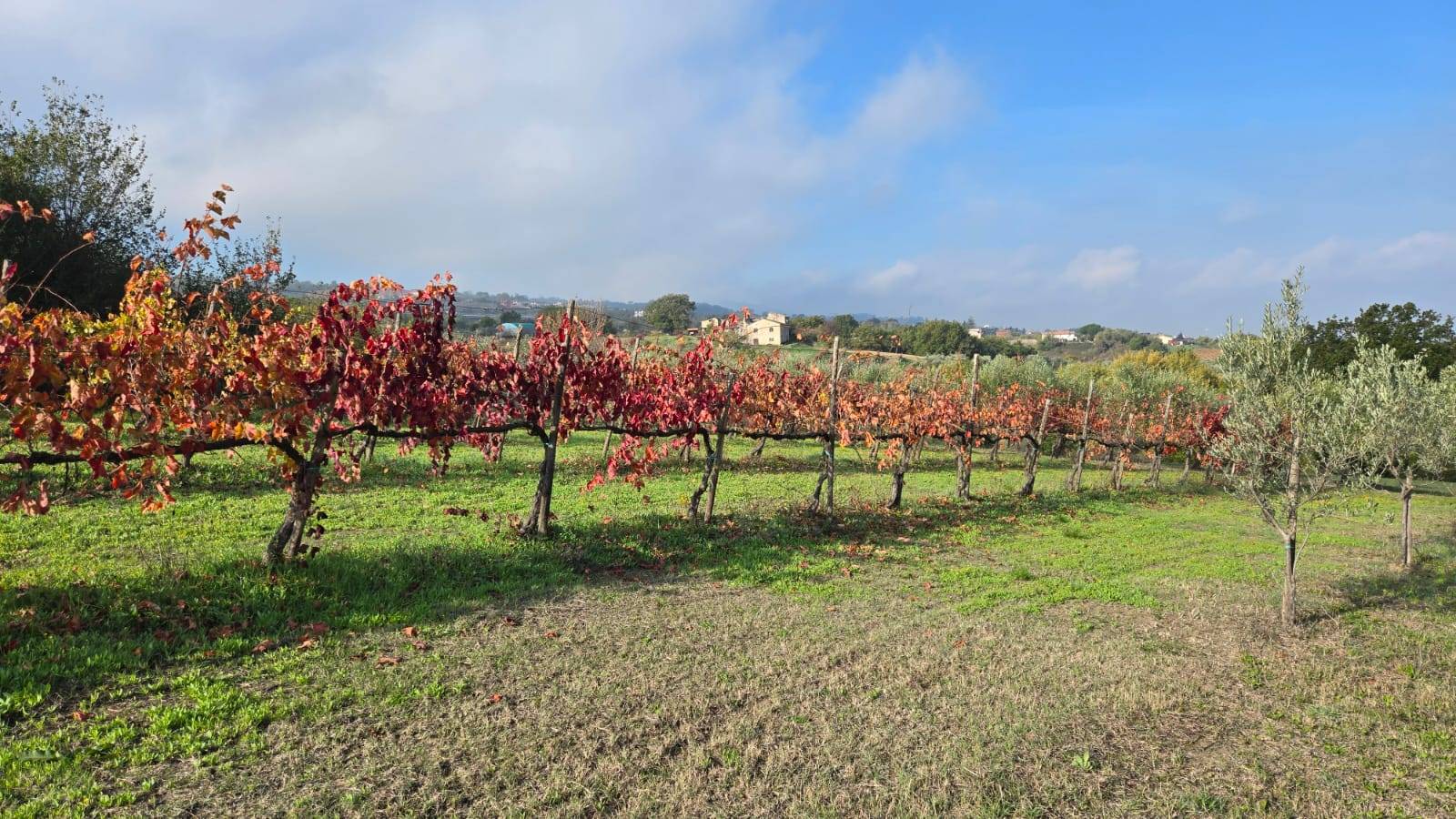 Casa Indipendente in vendita a Torre Le Nocelle