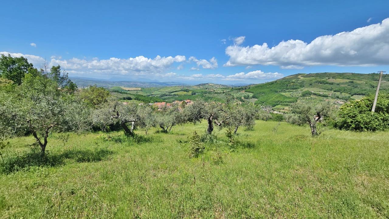 Terreno Agricolo in vendita a Castel Baronia