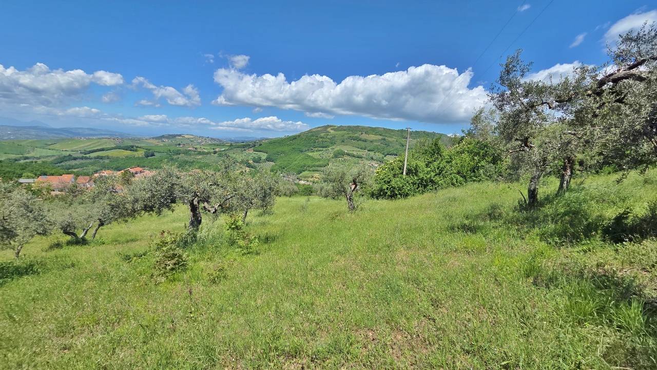 Terreno Agricolo in vendita a Castel Baronia
