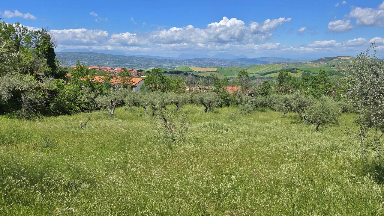 Terreno Agricolo in vendita a Castel Baronia