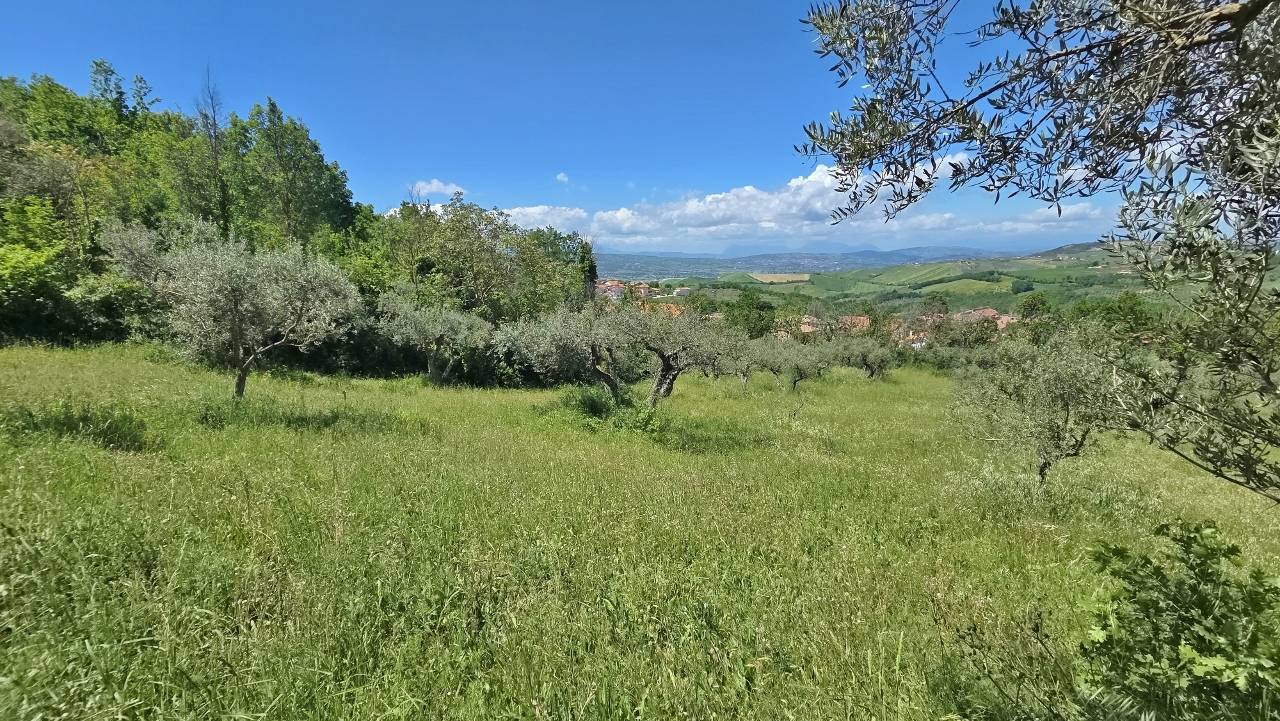 Terreno Agricolo in vendita a Castel Baronia