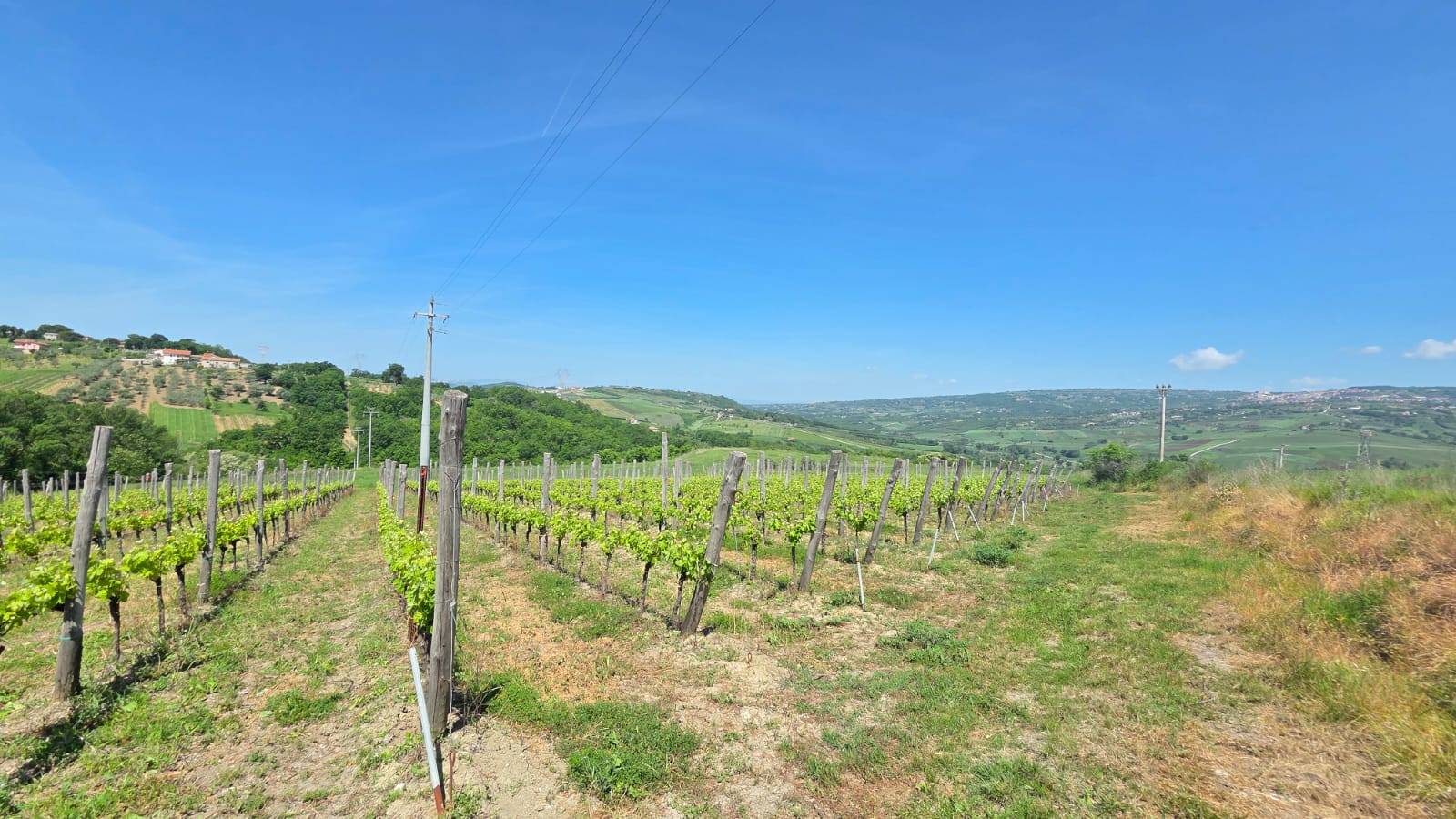 Terreno Agricolo in vendita a Torella dei Lombardi