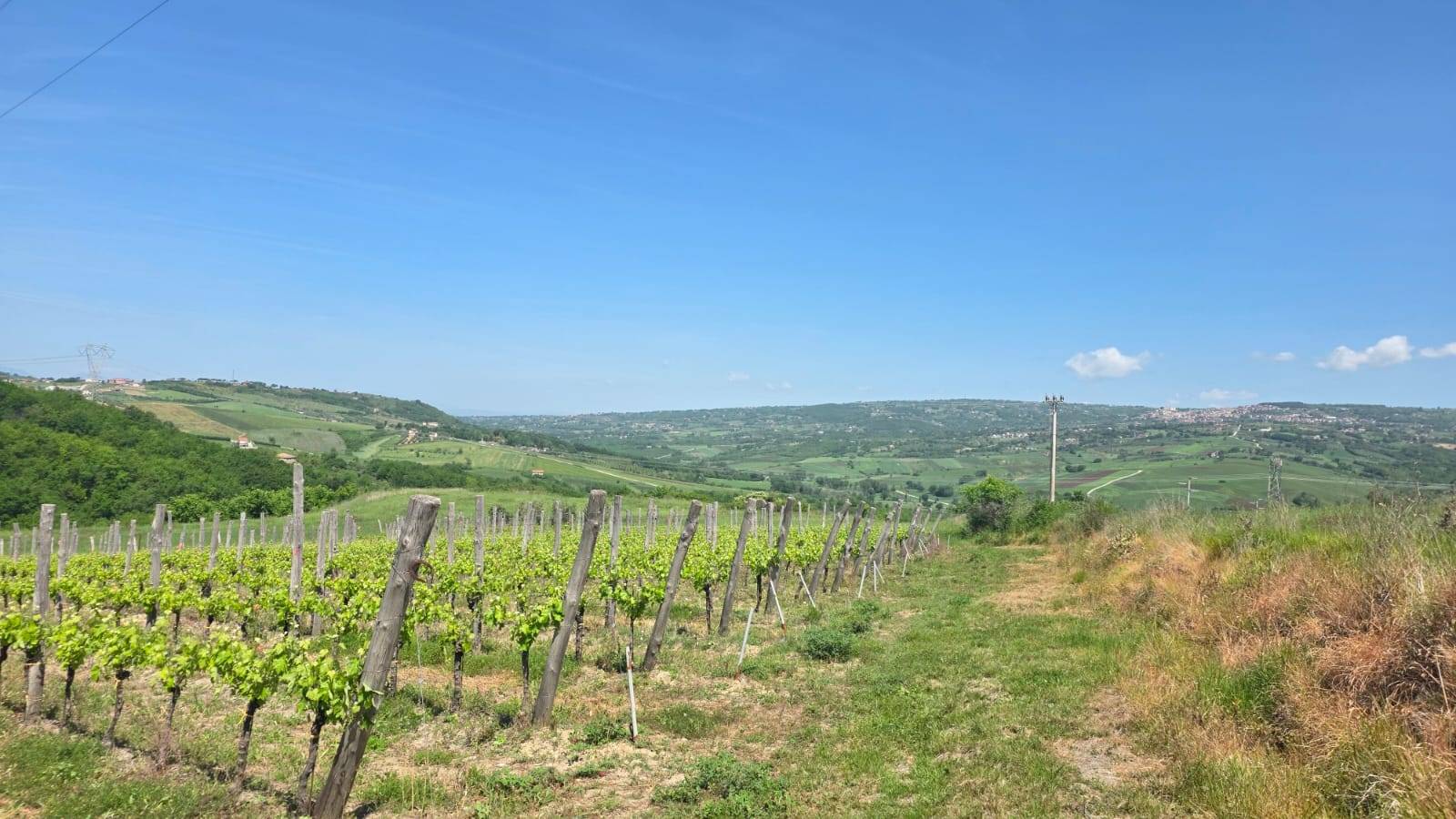 Terreno Agricolo in vendita a Torella dei Lombardi