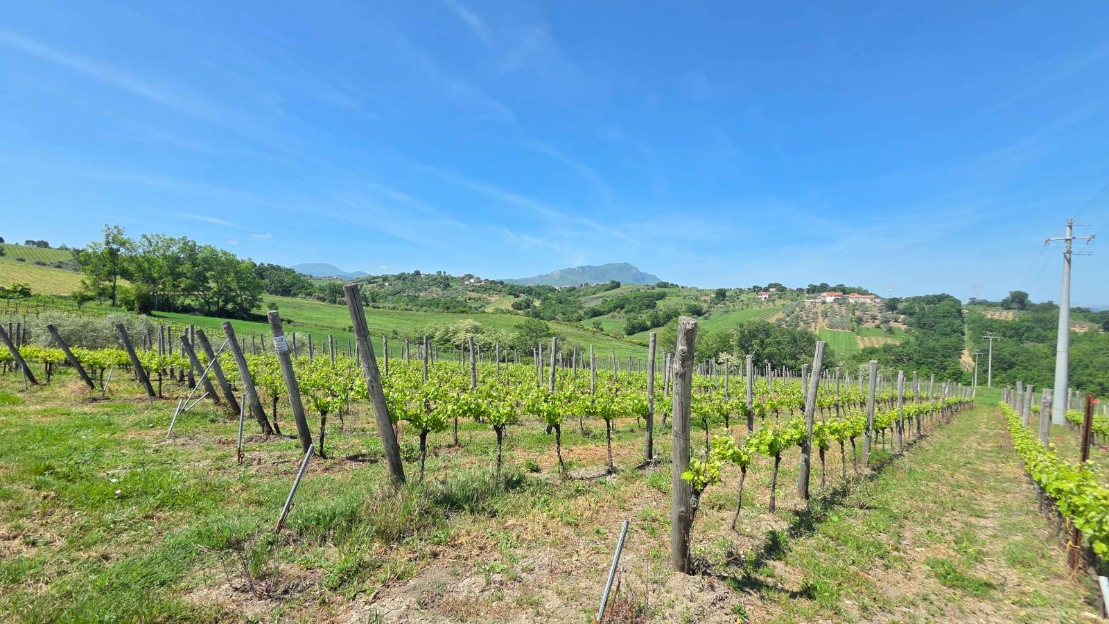 Terreno Agricolo in vendita a Torella dei Lombardi