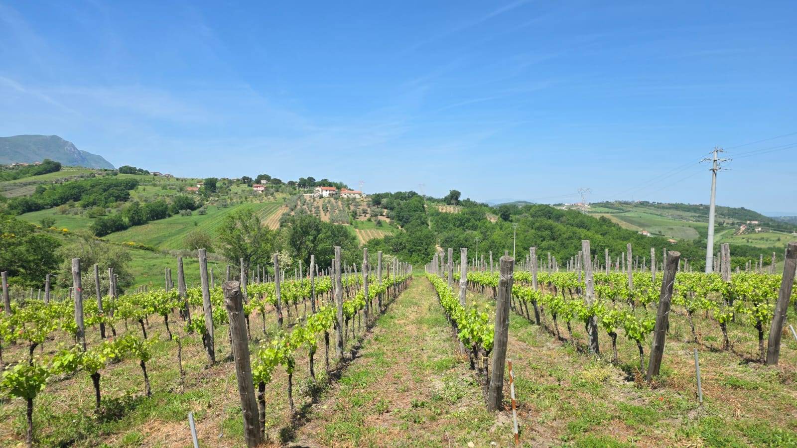 Terreno Agricolo in vendita a Torella dei Lombardi