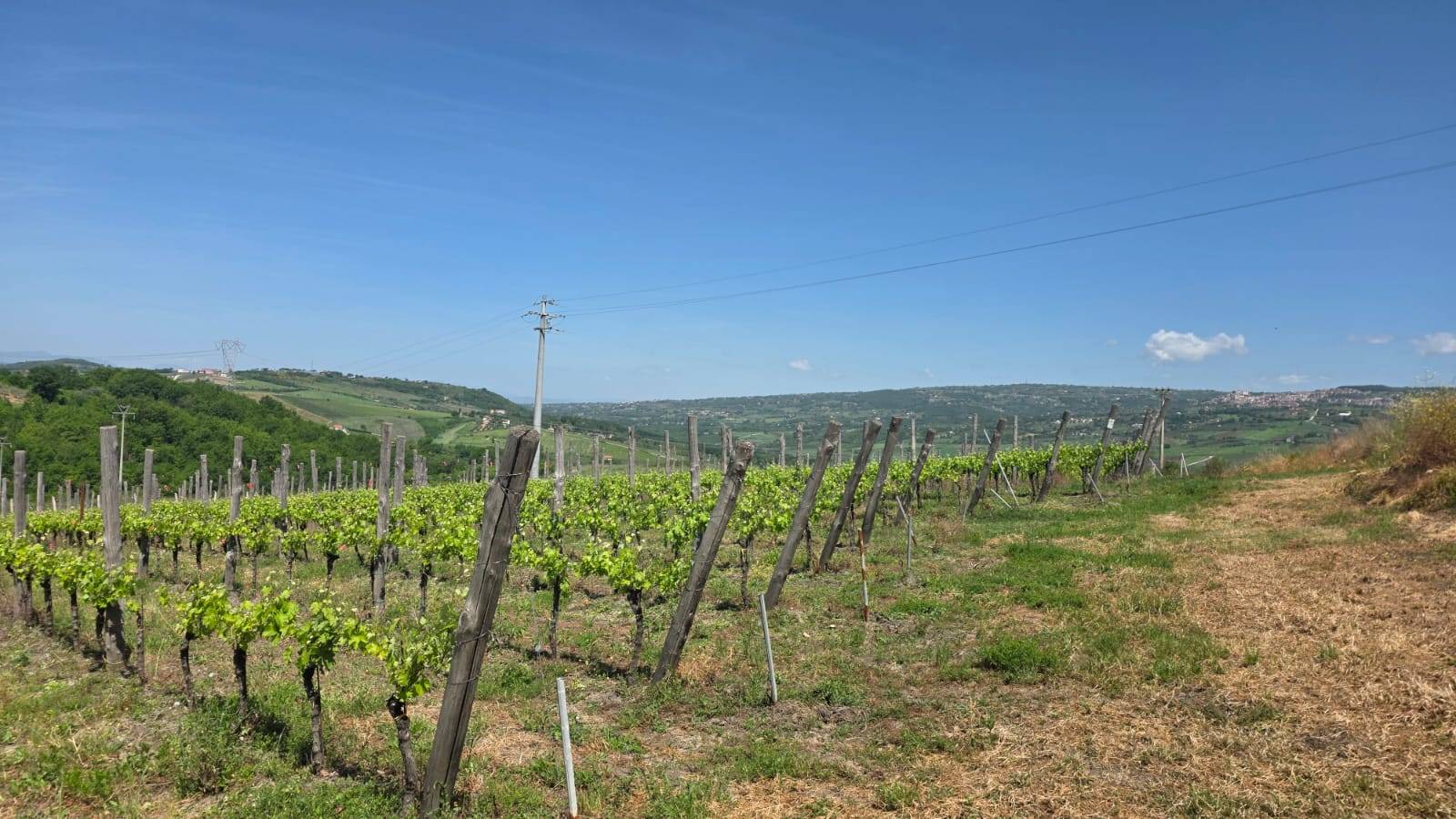Terreno Agricolo in vendita a Torella dei Lombardi