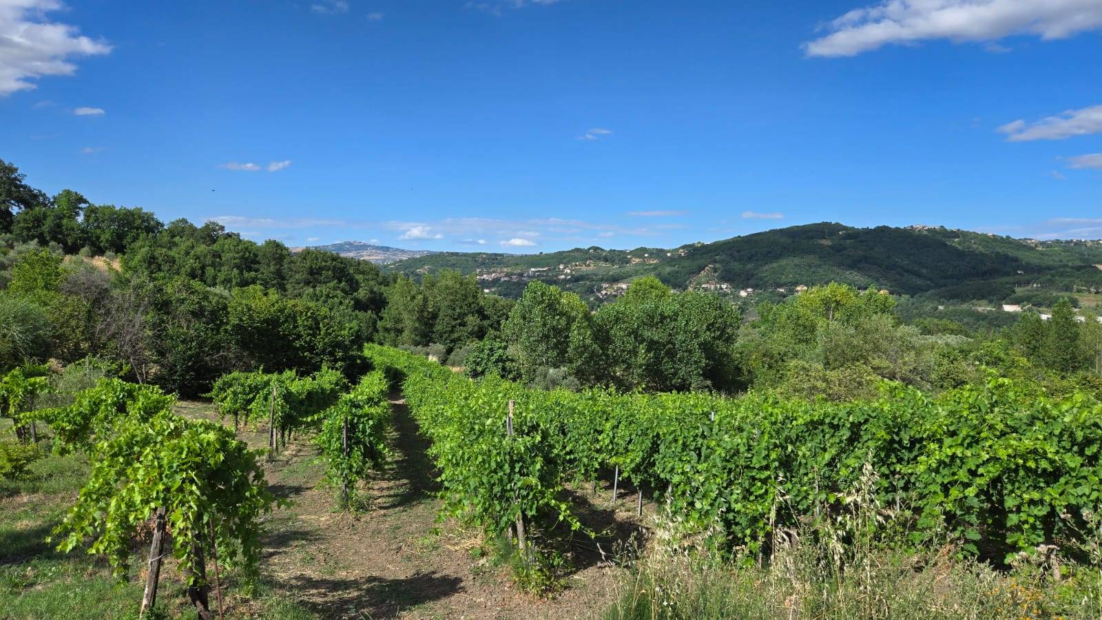 Villetta a schiera in vendita a Montemarano