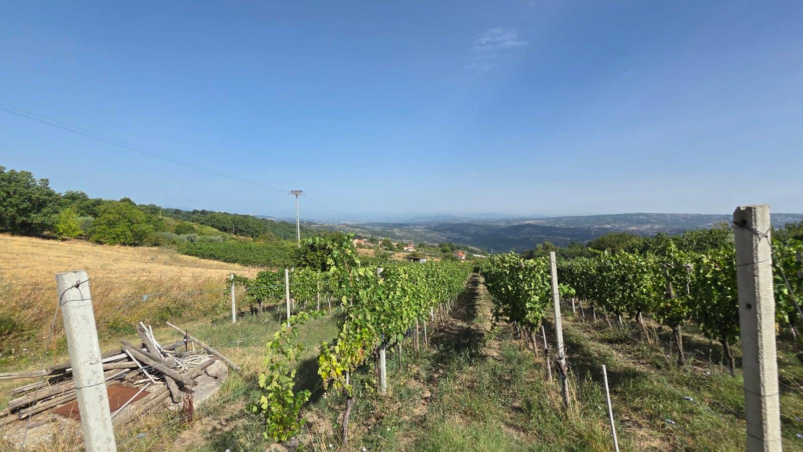 Terreno Agricolo in vendita a Montemarano