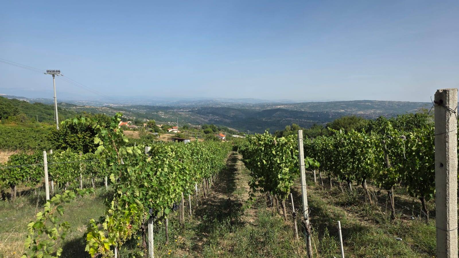 Terreno Agricolo in vendita a Montemarano