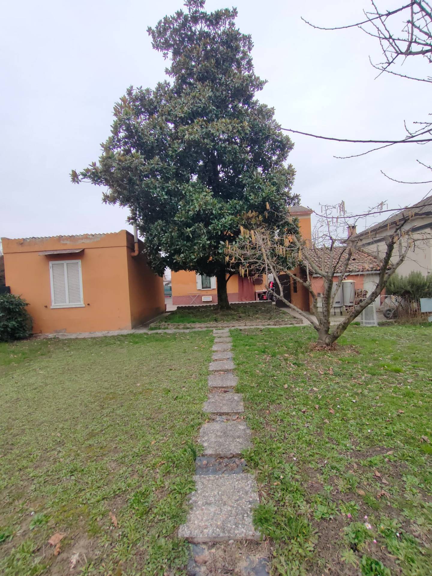 immagine annuncio 3 di 6