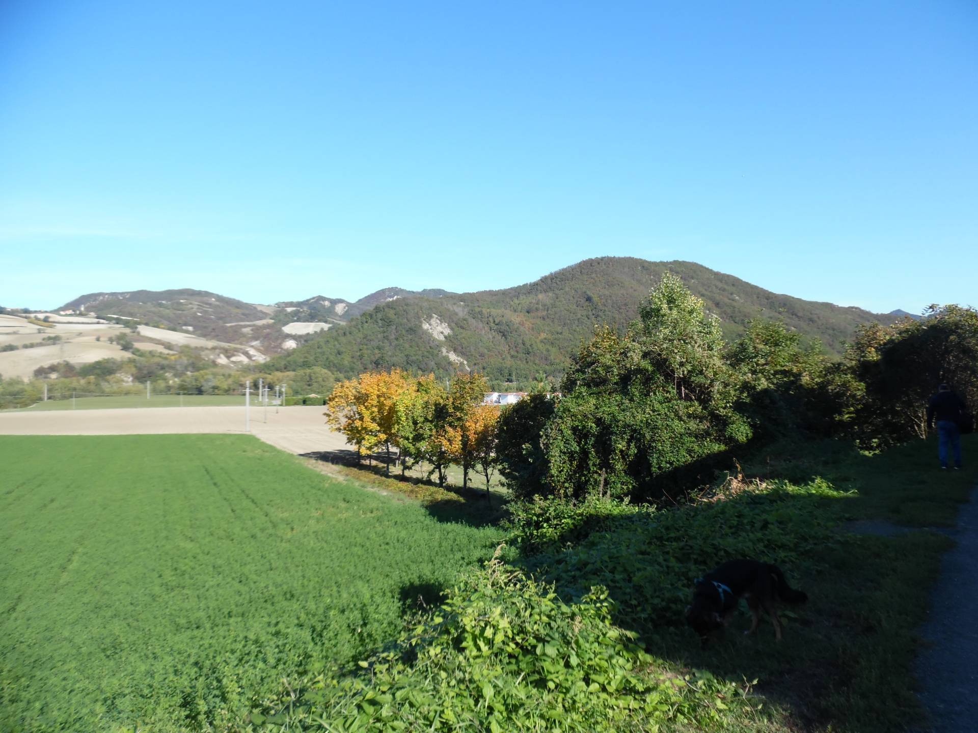 immagine annuncio 4 di 6