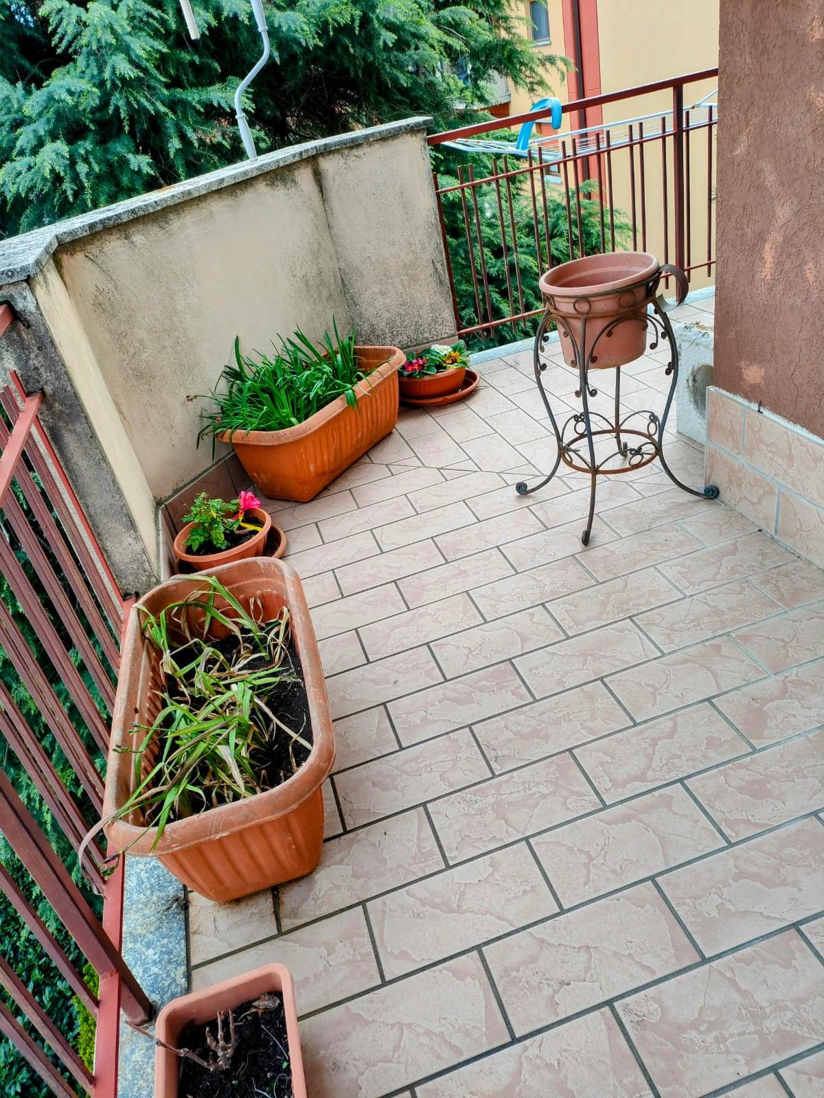 immagine annuncio 2 di 6