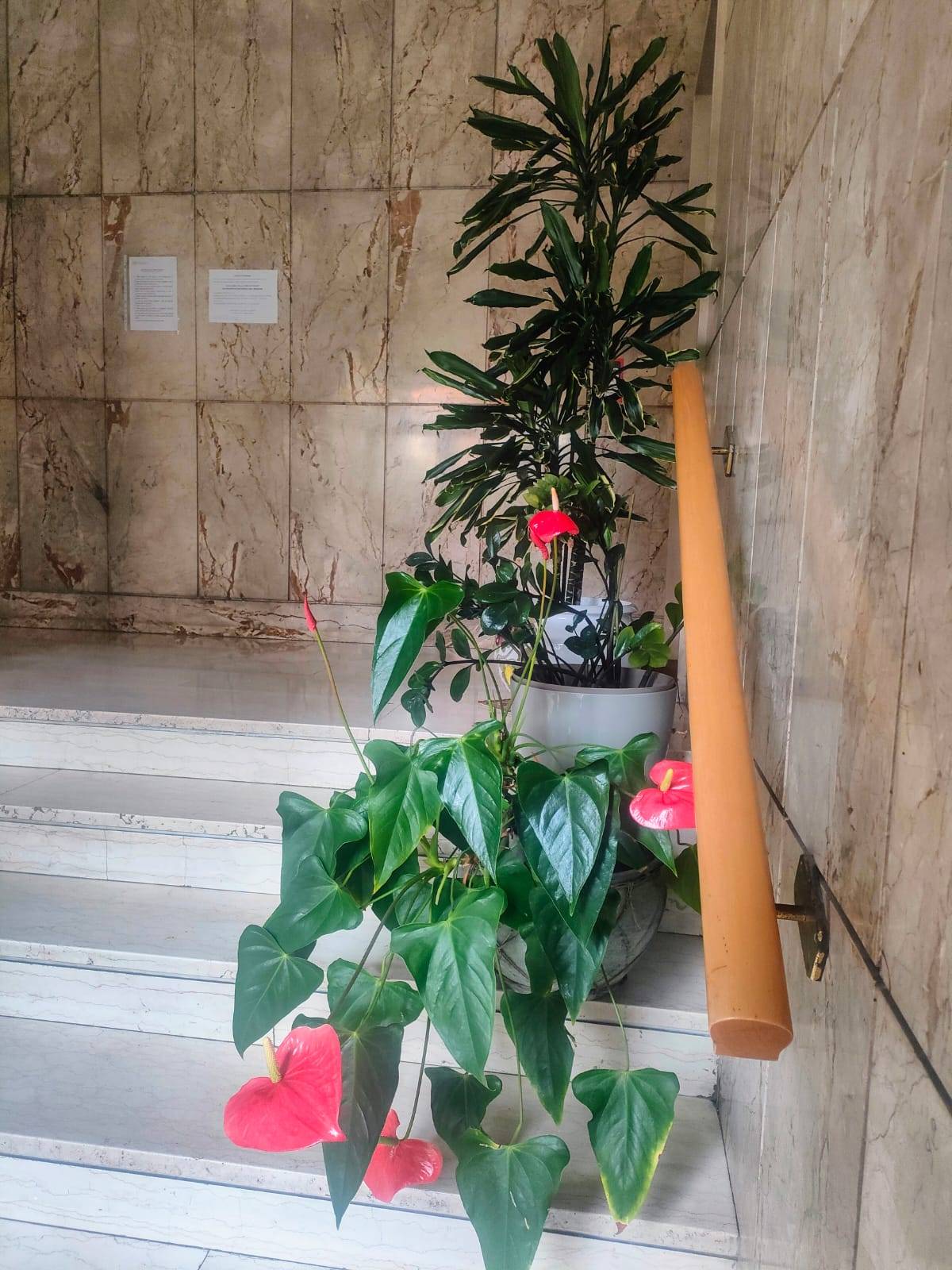Appartamento in vendita a Voghera