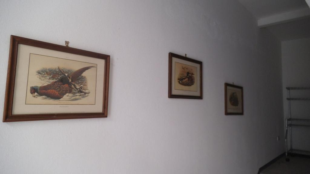 Appartamento in affitto a Barbianello