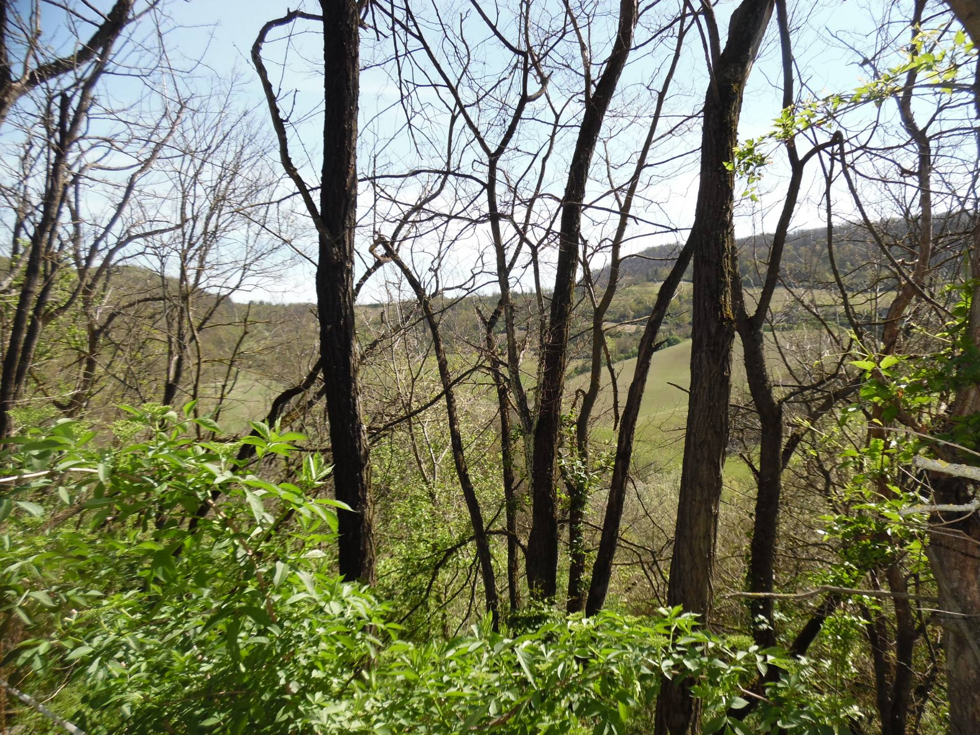 Rustico in vendita a Retorbido