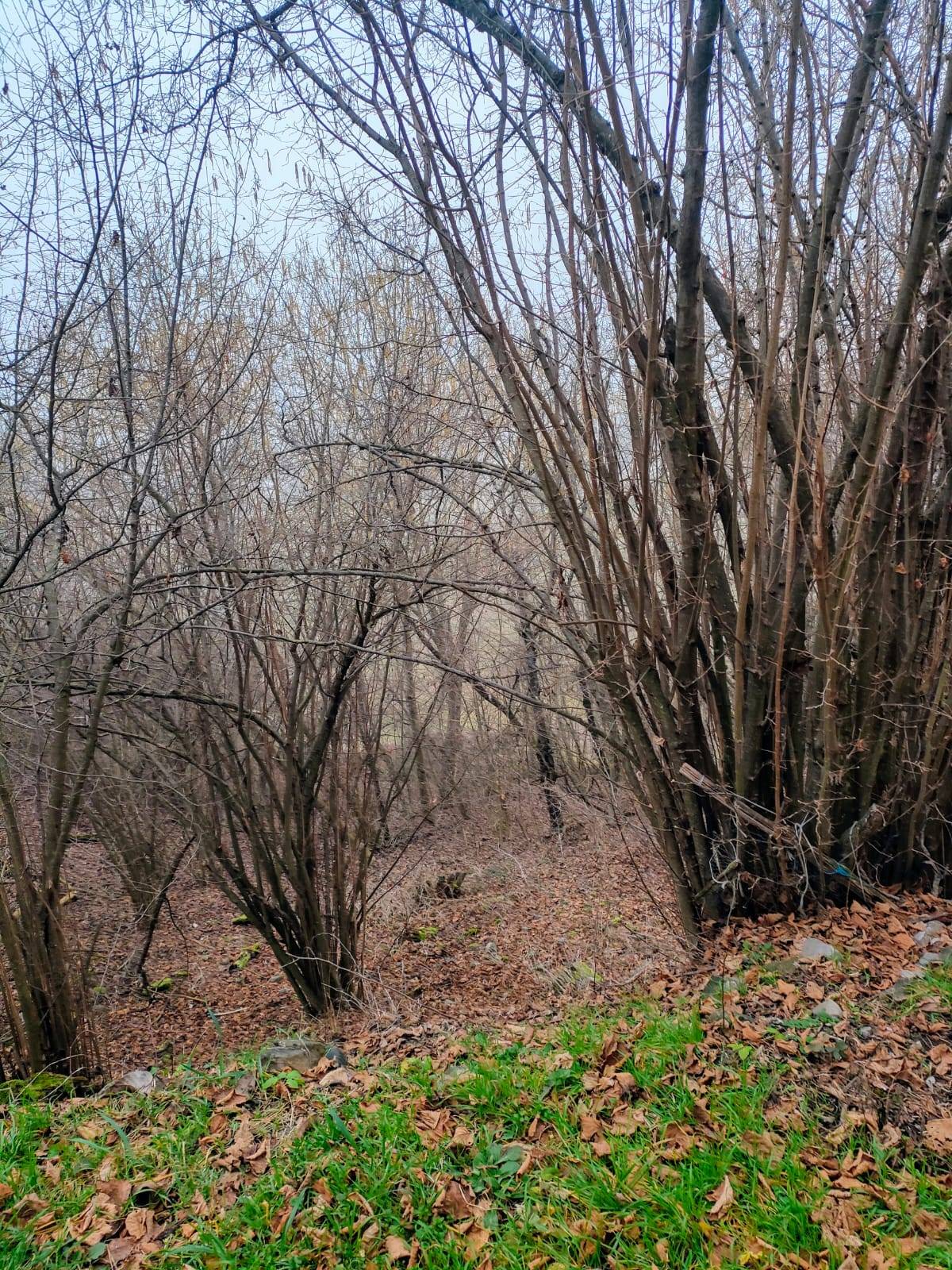 Rustico in vendita a Bagnaria, Casa Galeotti