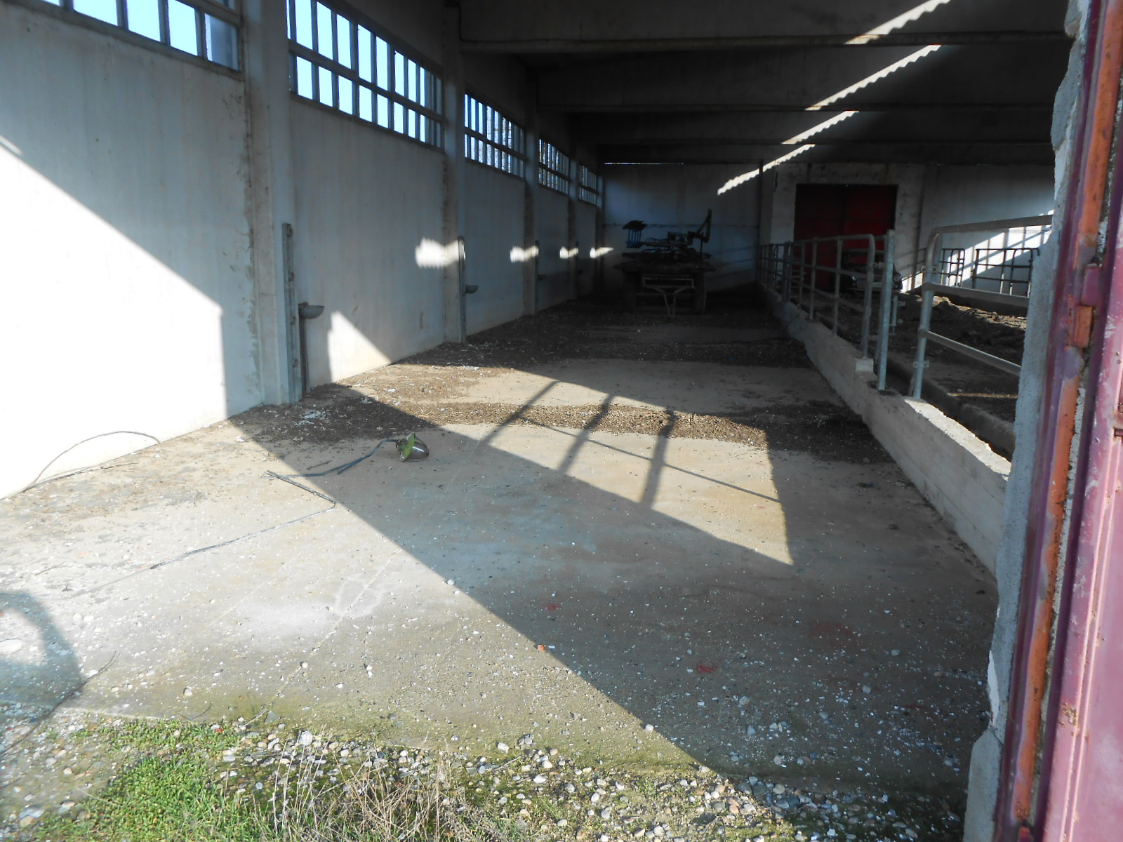 Capannone in vendita a Quargnento