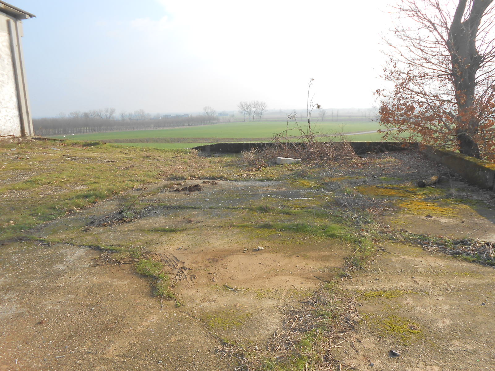 Capannone in vendita a Quargnento