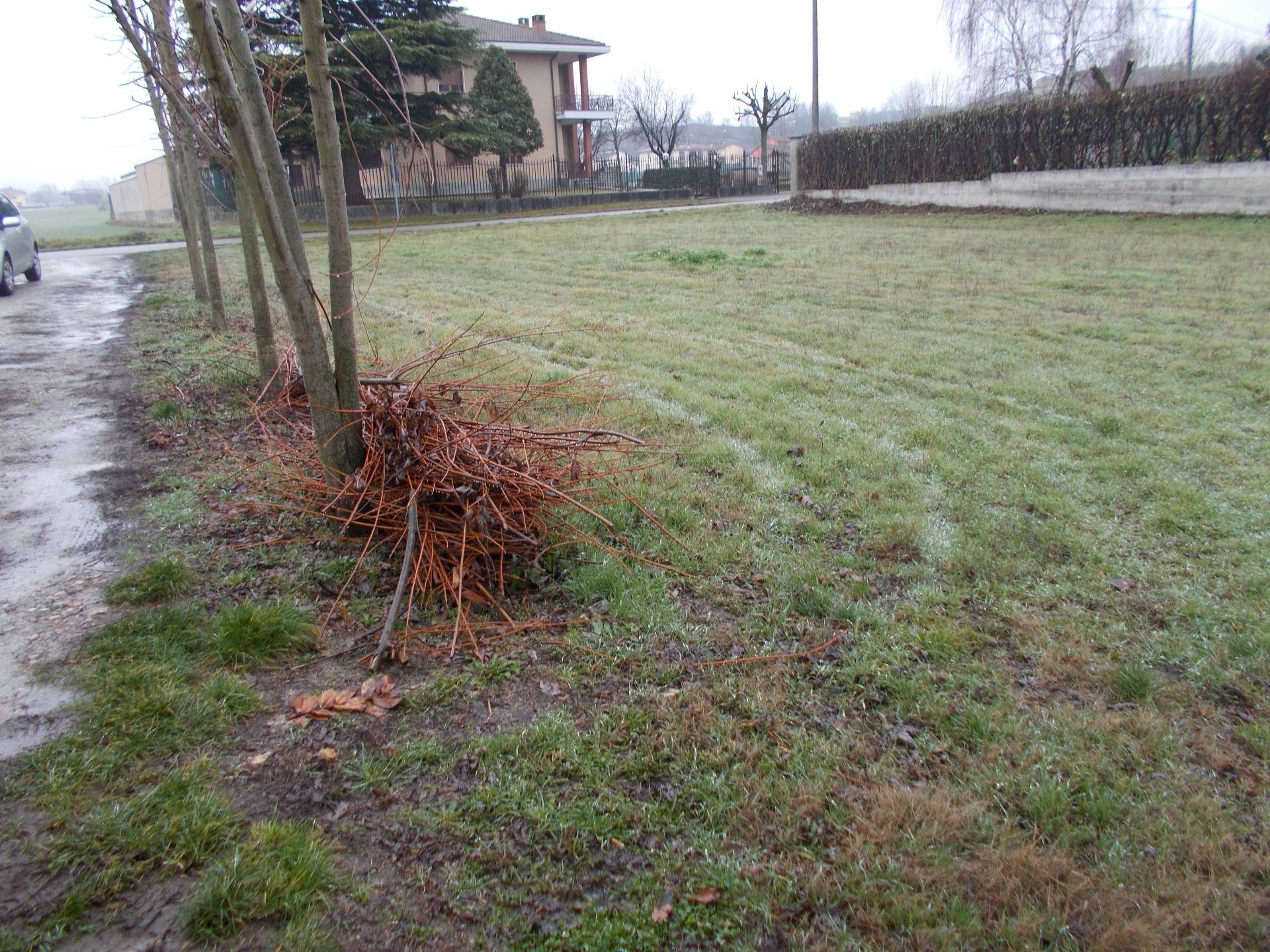 Terreno edificabile in vendita a Montebello della Battaglia
