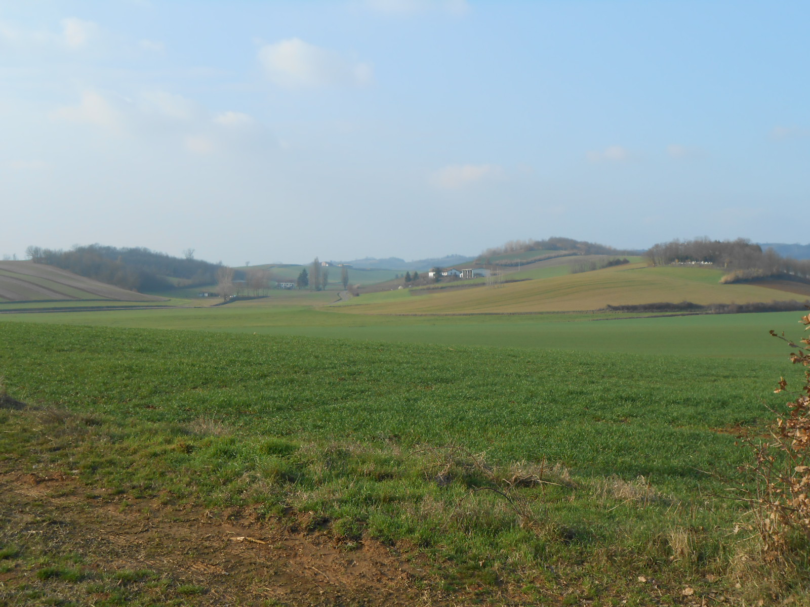 Capannone in vendita a Quargnento