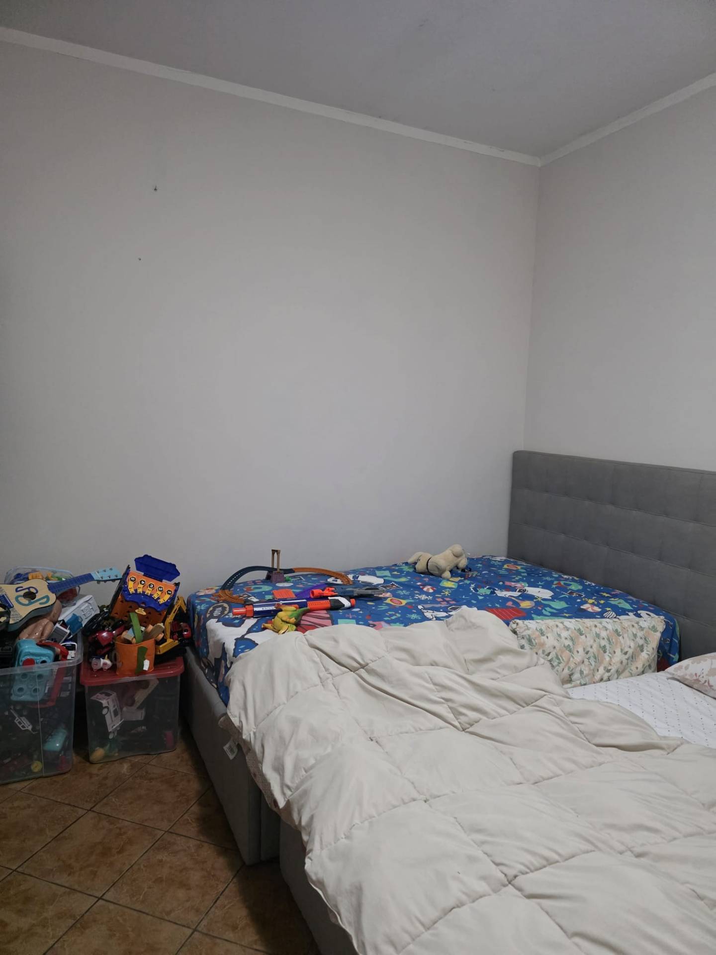 Appartamento in affitto a Castelnuovo Scrivia