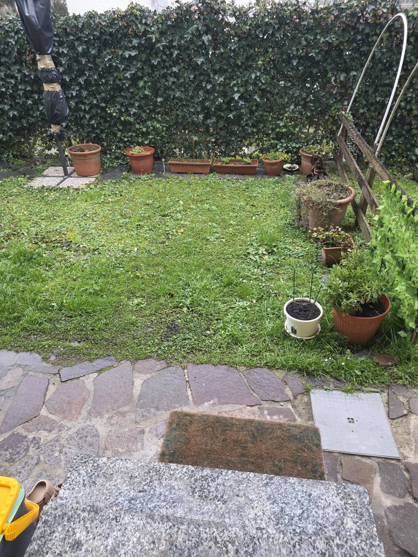 Appartamento in affitto a Castelnuovo Scrivia