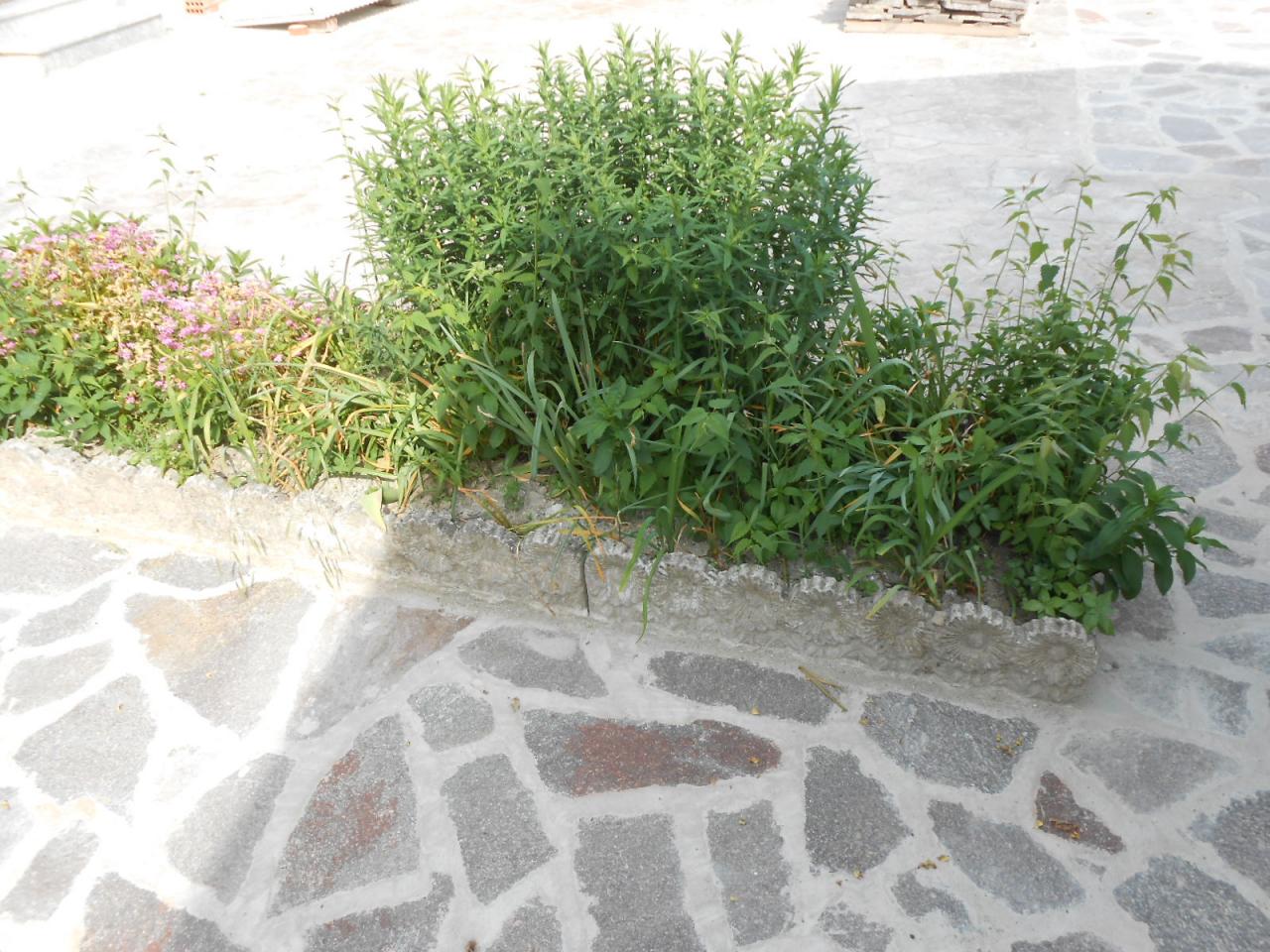 Appartamento in affitto a Voghera
